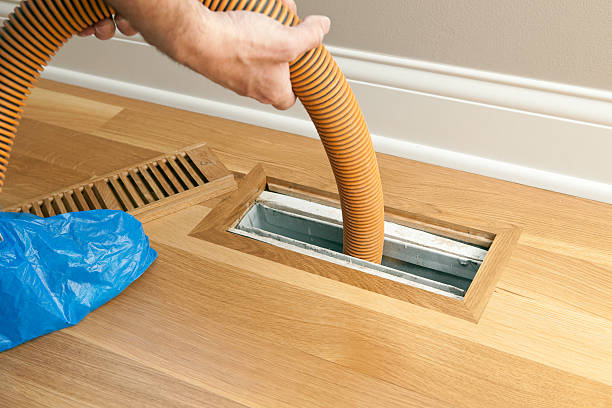 Best Air Duct Mold Removal  in St James, NC